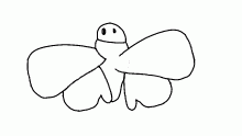 day 16-moths