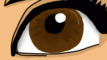 unnecessary detail is fun