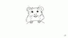 rat