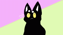 meow!!