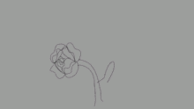 "Not All Flowers Stay Vibrant..."