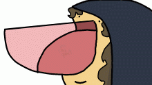 lol big mouth