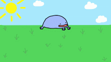 froggie in the sun