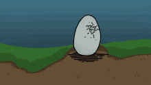 Contest Entry