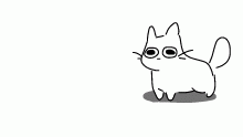s h o o k  cat