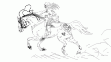 + Barrel racing +