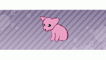 bingus
