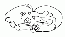 I have to go to tennis today