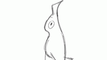 Bob.