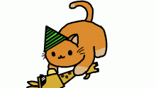 cat