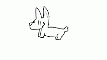 Corgi