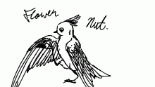 flower nut.