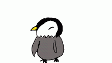 cute  penguen