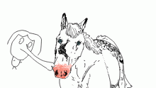 muzzle kisses