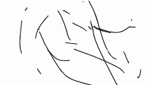 hi
