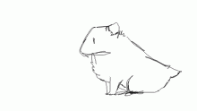 HAMster
