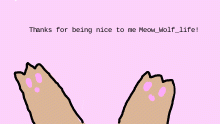 For  @Meow_Wolf_life