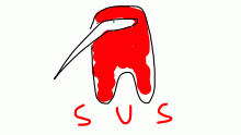 S u S