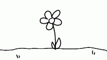 random flower