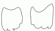 wing practice