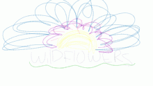 Backstory 3: WildFlowers