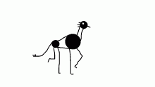 Qaudroped cycle