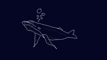 humpback?