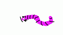 EARTH WORM SALLY SONG