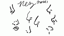 les nez