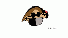 i tried