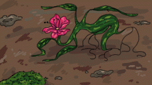 Flore