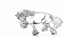 prancing around