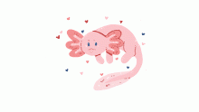 Axolotl