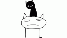 HAHAHAHAHA CATBOY