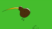 KIWI