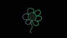 rgb flower