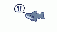 sharkpost status 🦈