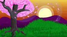 Cherry Blossom