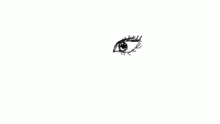 eye pratice