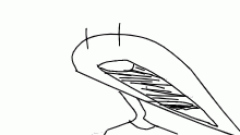 AAAAAAAAAAAAA