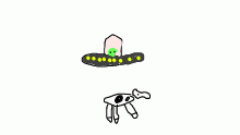 not the cow