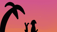 dog sunset