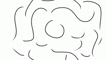Yo