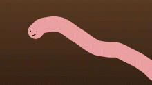 Earthworm Sally
