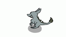 Ö