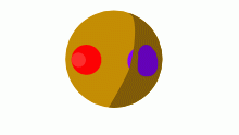 bonicle