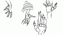 Hand practice