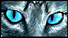 Cat eyes
