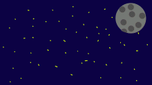A night sky