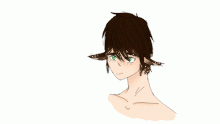 Redraw of Rin
